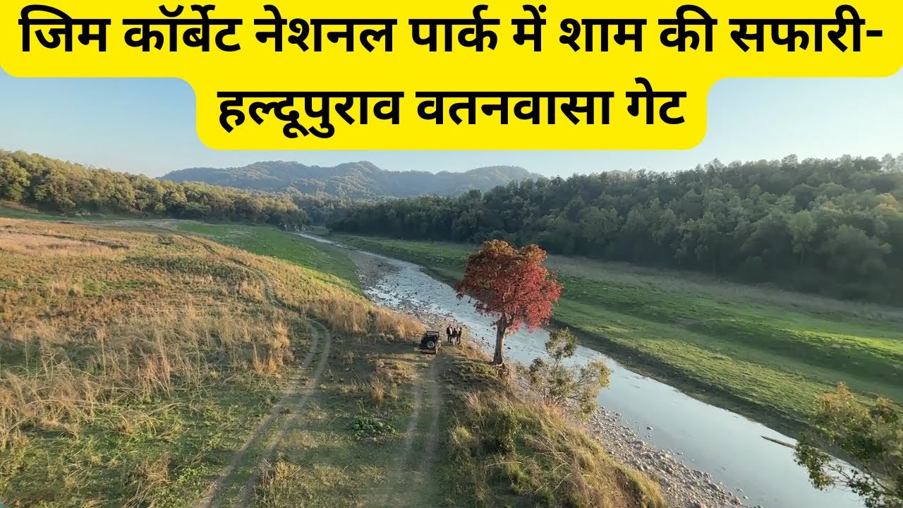 जिम कॉर्बेट नेशनल पार्क में शाम की सफारी- हल्दूपुराव वतनवासा गेट