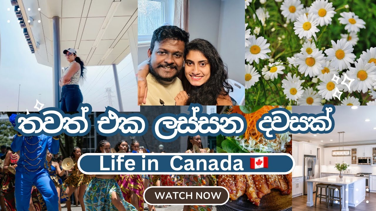 Life in Canada Vlog |හැම summer එකකම තියන summer festival එක|Cooking |Clothing Sale| Sun Festival 🇨🇦