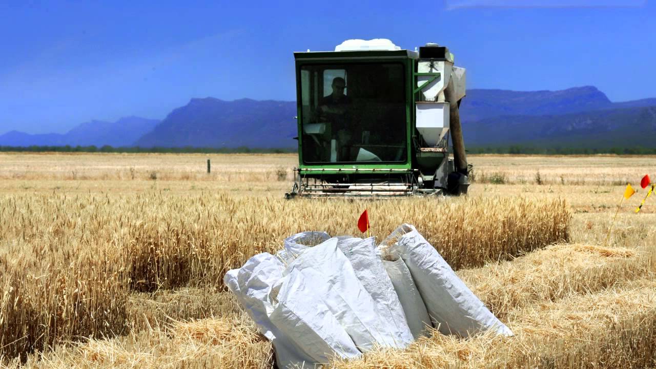 Test first, then time Nitrogen fertiliser to reduce losses - Roger Armstrong