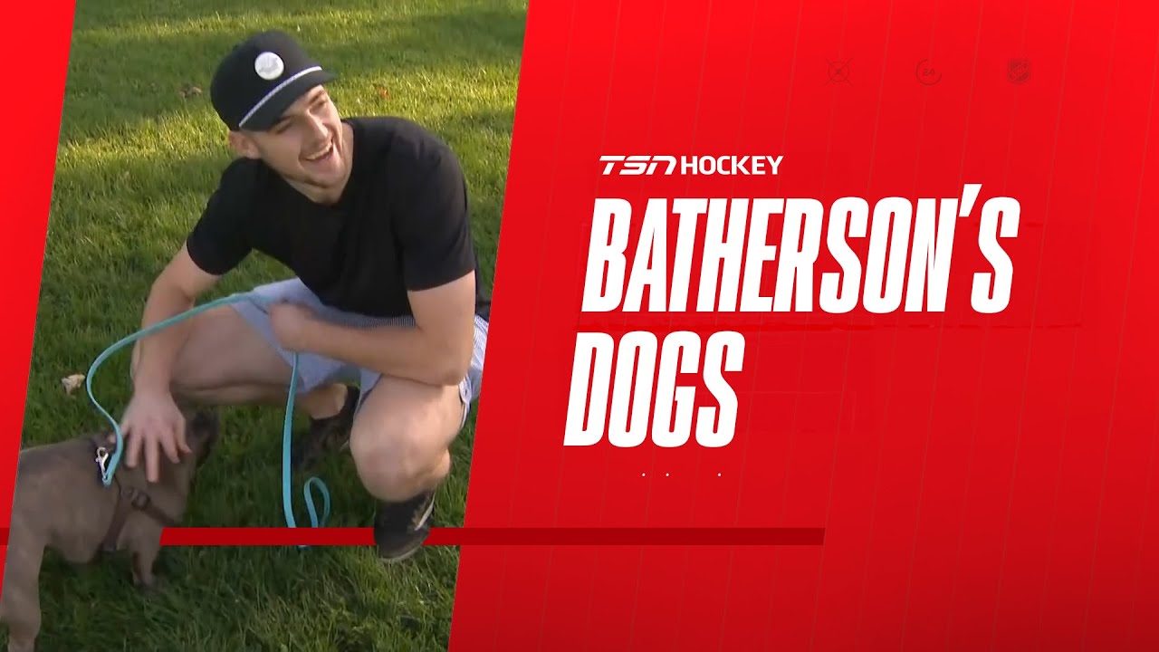 Batherson on how he incorporates his dogs into his gameday routine