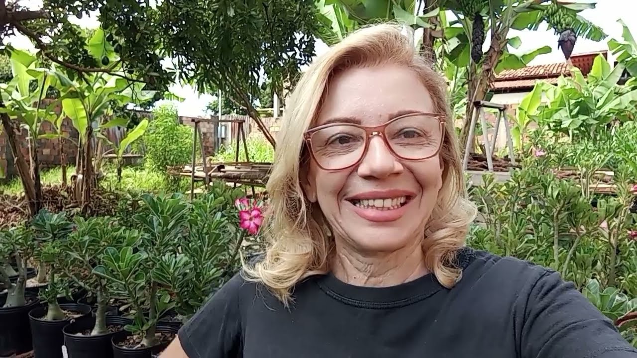Como podar Rosa Do Deserto de forma correta! Guia completo passo a passo.#rosadodesertocuidados 