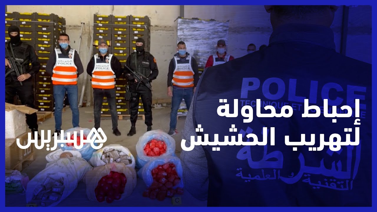 أمن طنجة يحبط محاولة تهريب دولية لأزيد من 31 طنا من مخدر الحشيش