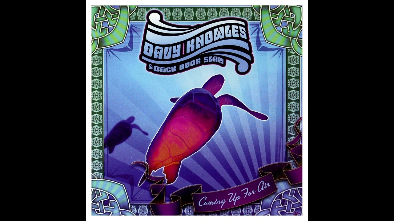 Tear Down The Walls - Davy Knowles And Back Door Slam