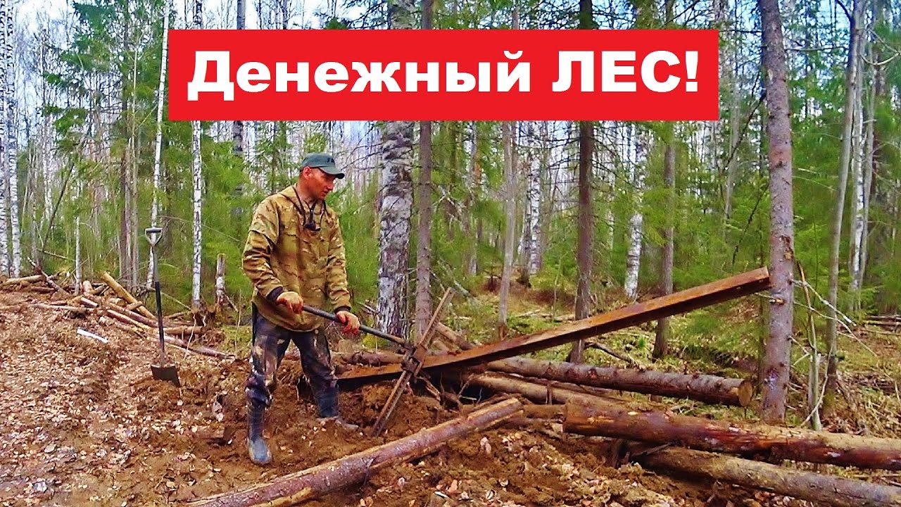 Денежный лес! Металлолом у избушки. Копать, не перекопать!