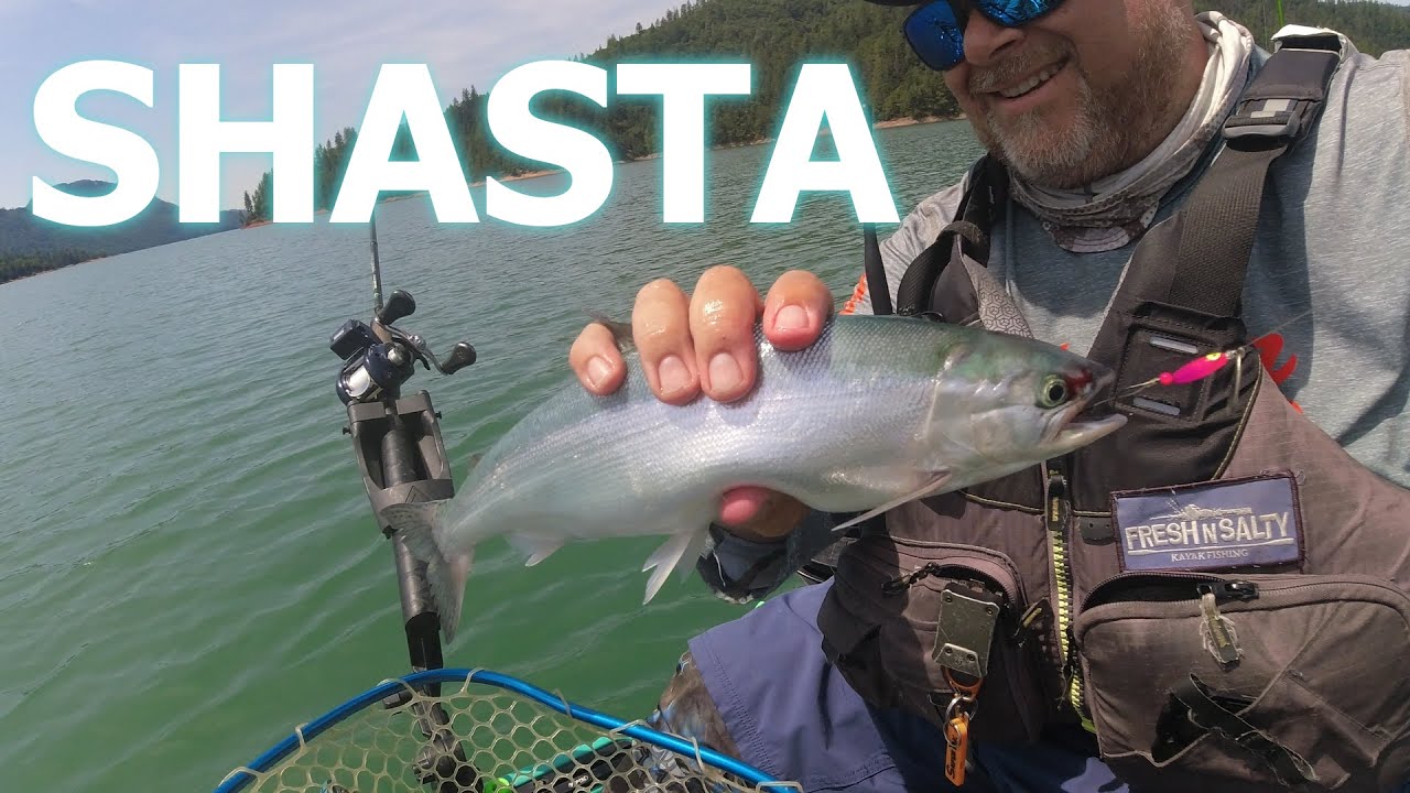 Lake Shasta Kokanee Kayak fishing
