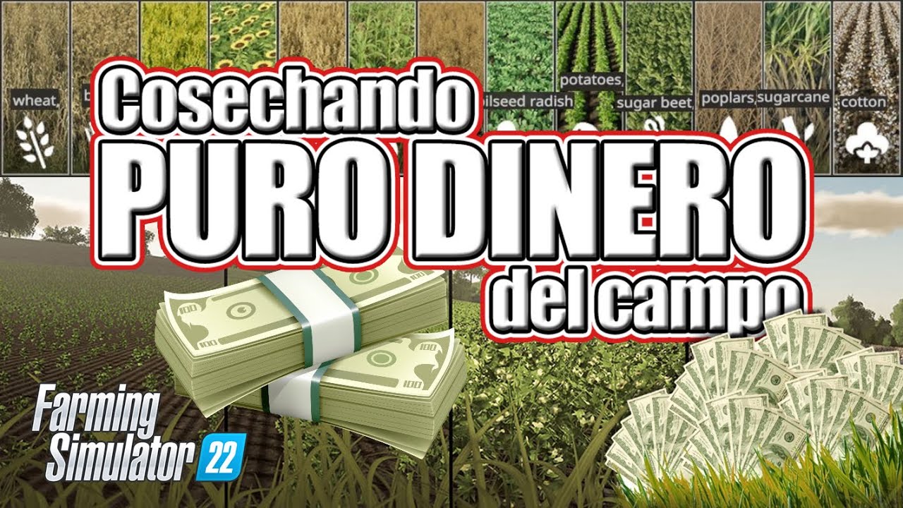TOP 5 📈 Cosechas MÁS RENTABLES en FARMING SIMULATOR 22 🚜