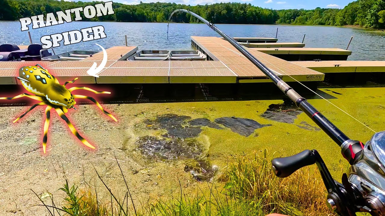 BEST SUMMER TOPWATER for Scummy Area_LUNKERHUNT PHANTOM SPIDER