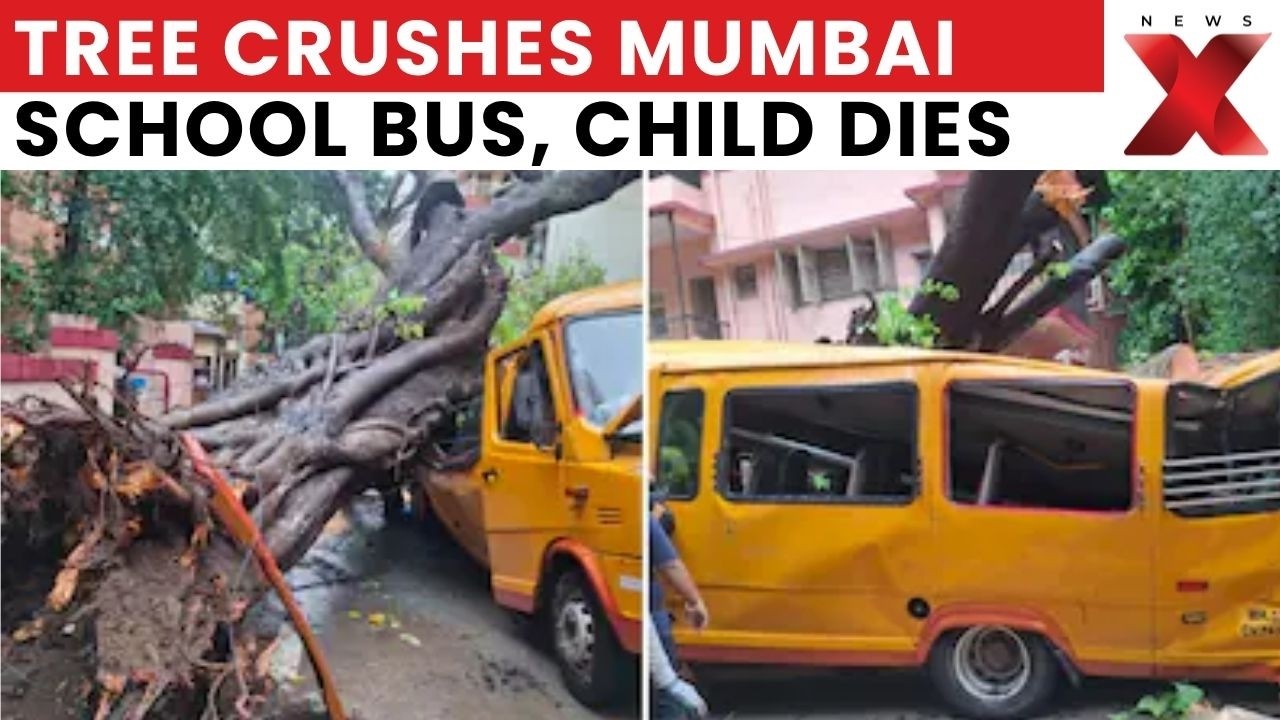 Mumbai School Bus Tragedy: Child Killed, 10 Injured After Tree Falls on Bus in Chembur