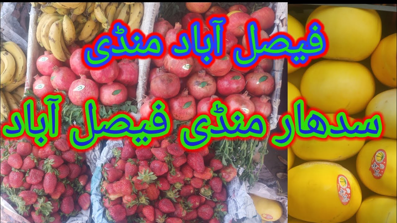 فیصل آباد منڈی | سدھار منڈی فیصل آباد | faisalabad | faisalabad city | Sardar Mandi Faisalabad |