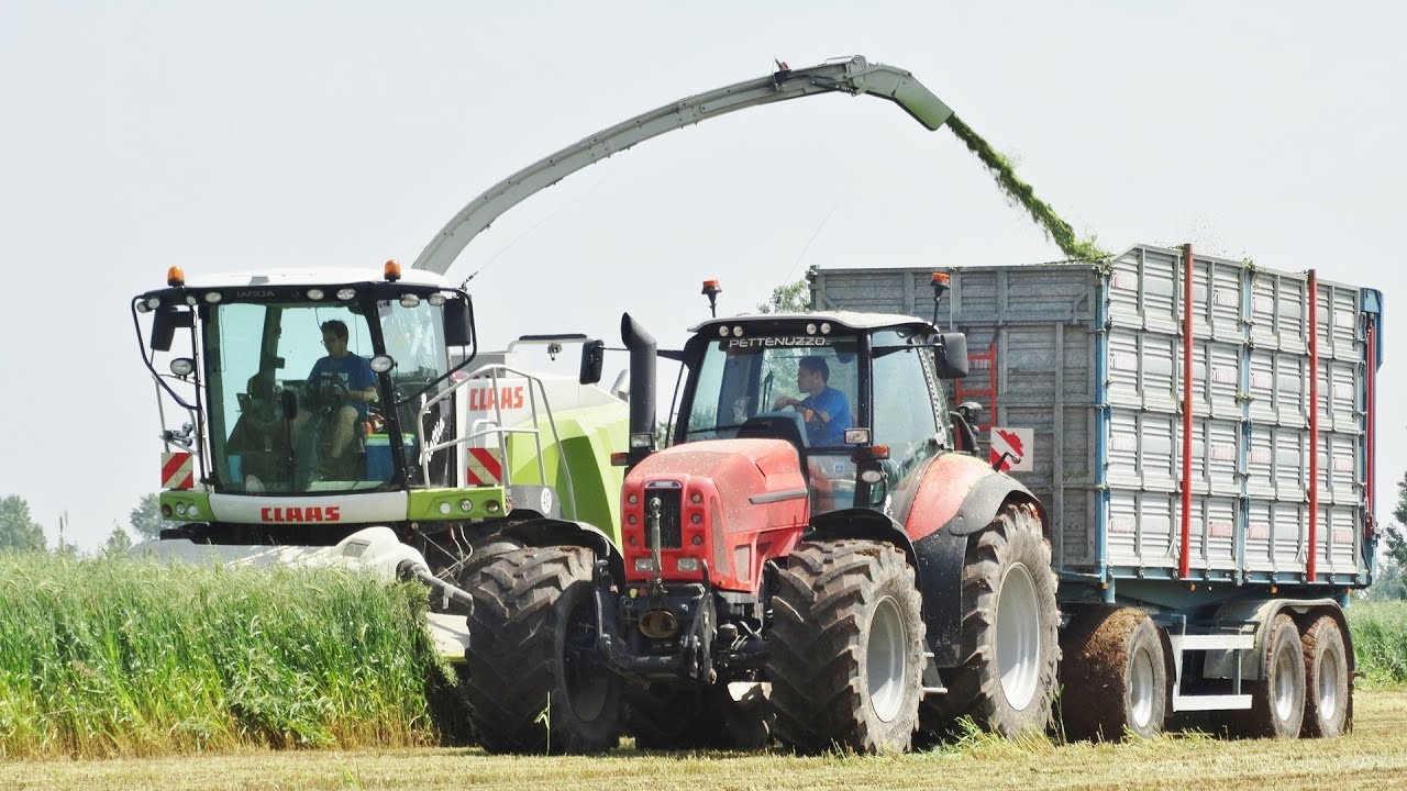 Claas Jaguar 960 + Direct Disc 520 | Same Iron 190 Continuo + Same Silver 180 | PETTENUZZO