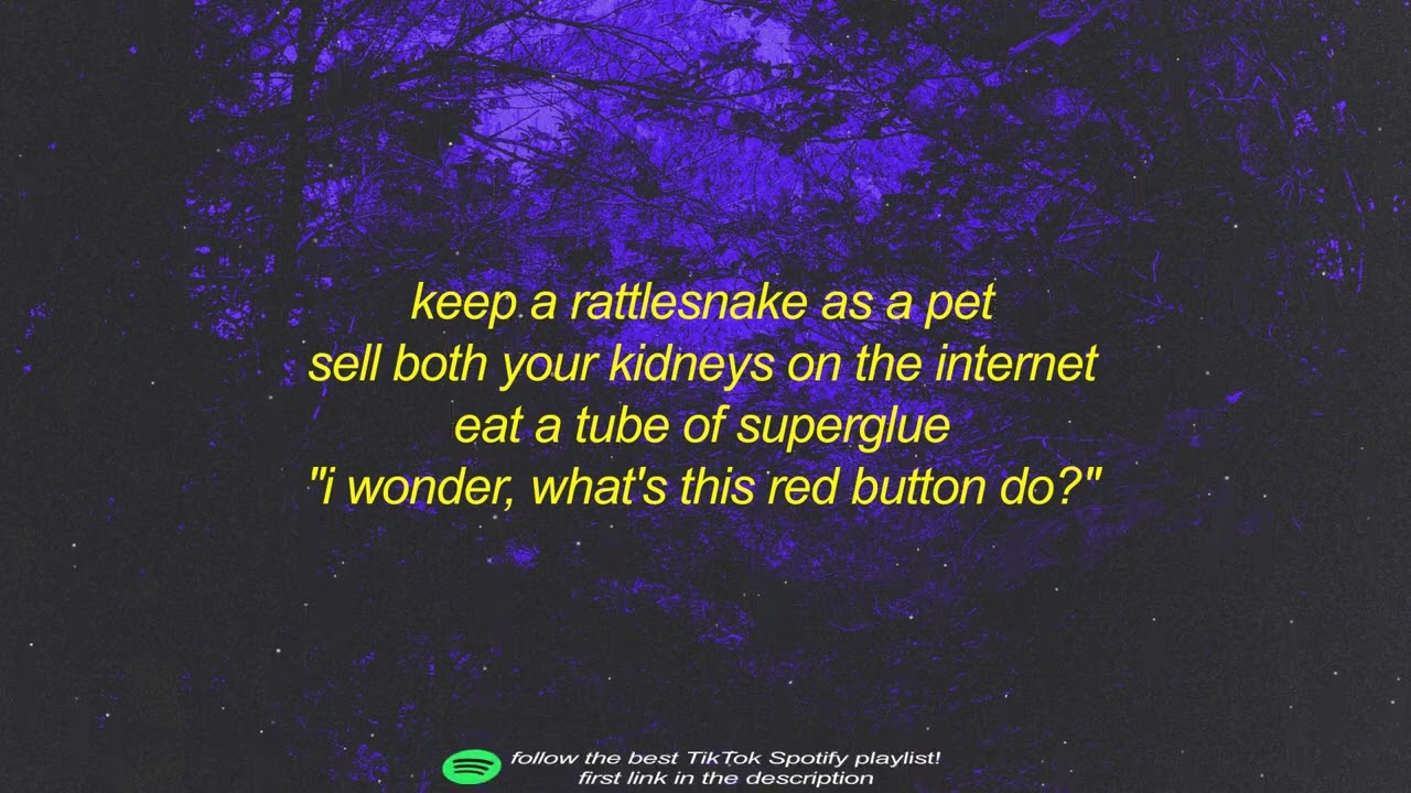 Dumb Ways to Die Lyrics