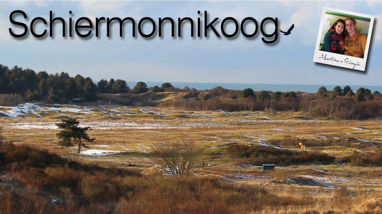 Neve sulle spiagge olandesi: Schiermonnikoog