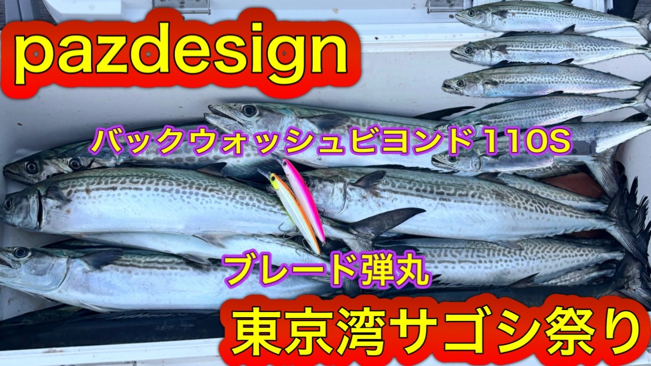 サゴシ祭り！ブレード弾丸＆バックウォッシュビヨンド１１０S