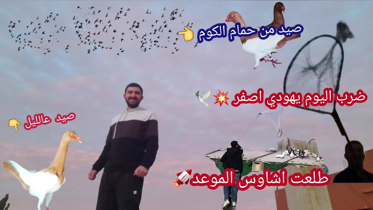 صيد ضرب يهودي اصفر من حمام الكوم شوفو طلعت الاشاوس 💥وخلاط حمام الموعد 🔥
