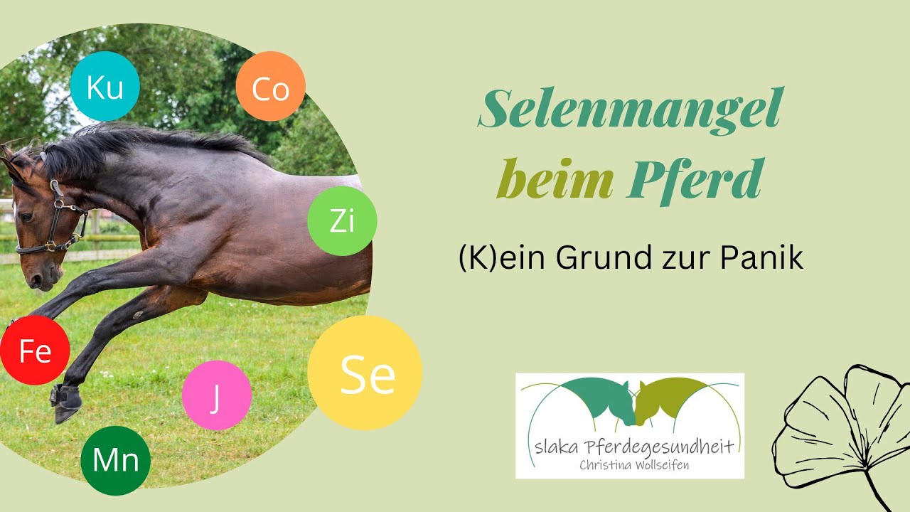 Selenmangel bei Pferden