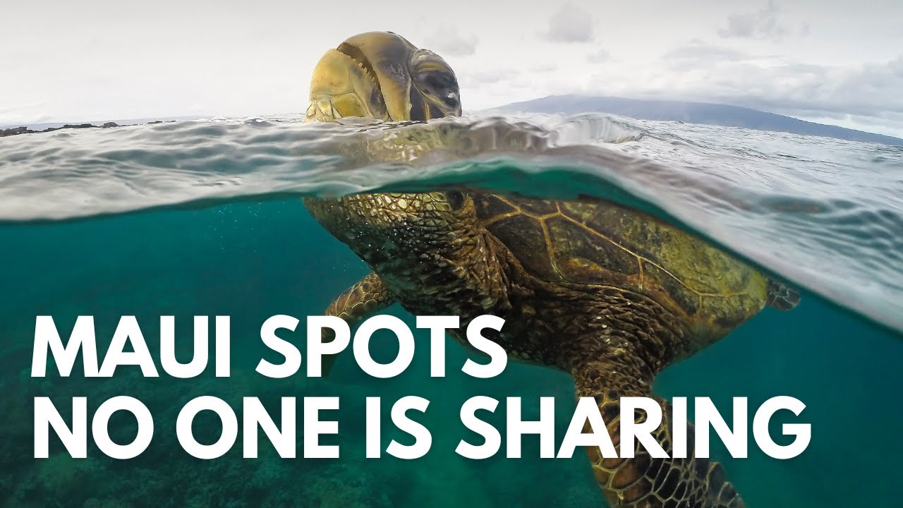 Maui’s Best Kept Secrets 🌺 | Hidden Spots No One’s Talking About