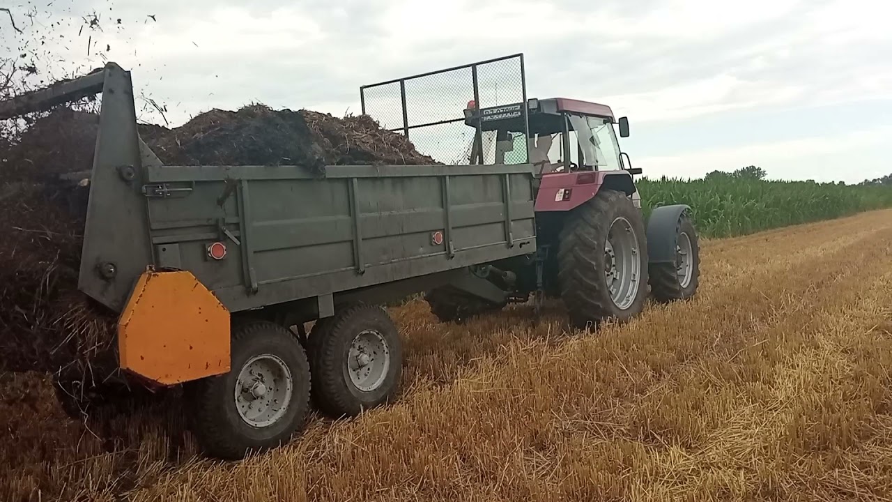 Rozwożenie obornika 2021 (Case maxxum 5120)