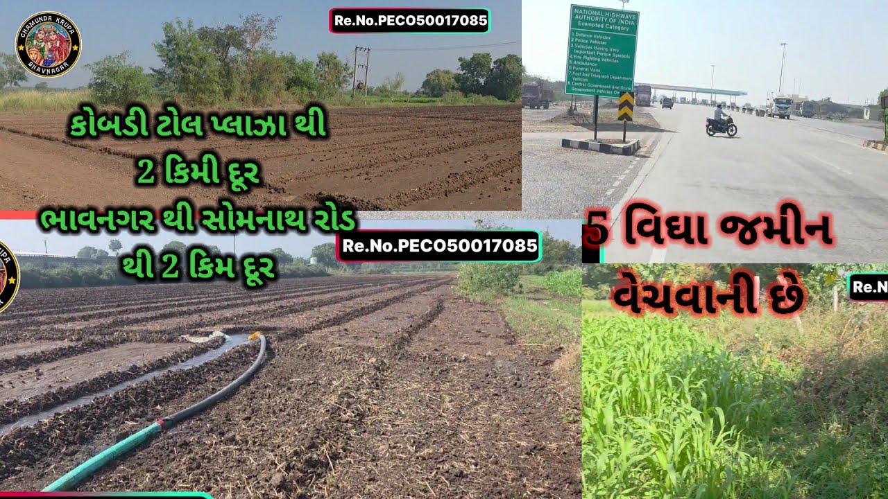 Road thi najik jamin ખેતી ની રોડ થી નજીક આવેલી જમીન વેચવાની છે ભાવનગર સોમનાથ રોડ થી 2 કિમી દૂર 