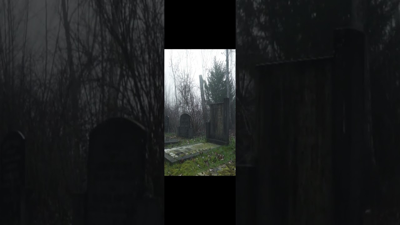 The Old Cemetery #OldCemetery #MistyGraveyard #WhispersInTheFog
