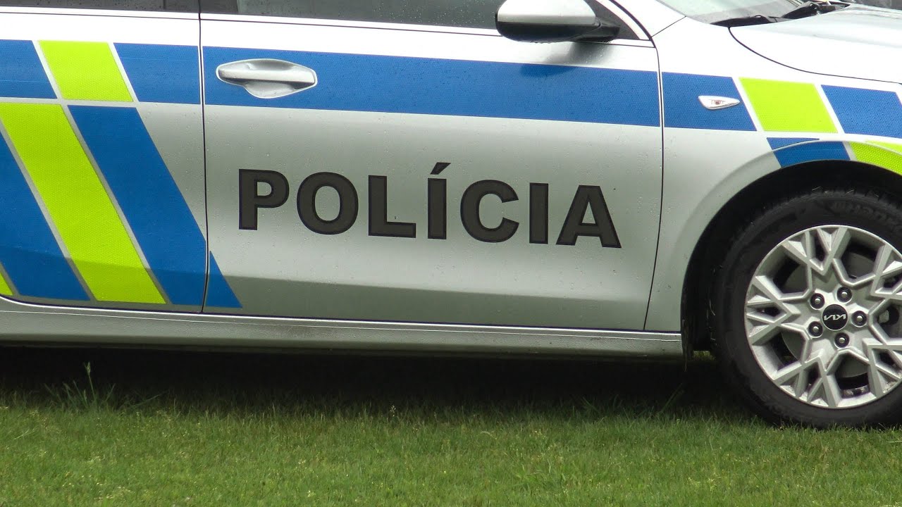 Cvičenie poriadkovej jednotky