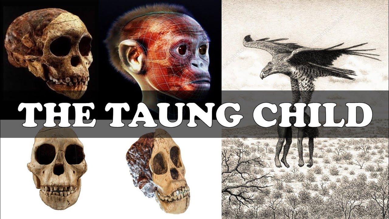 Taung Child: The World&rsquo;s Oldest Murder Mystery