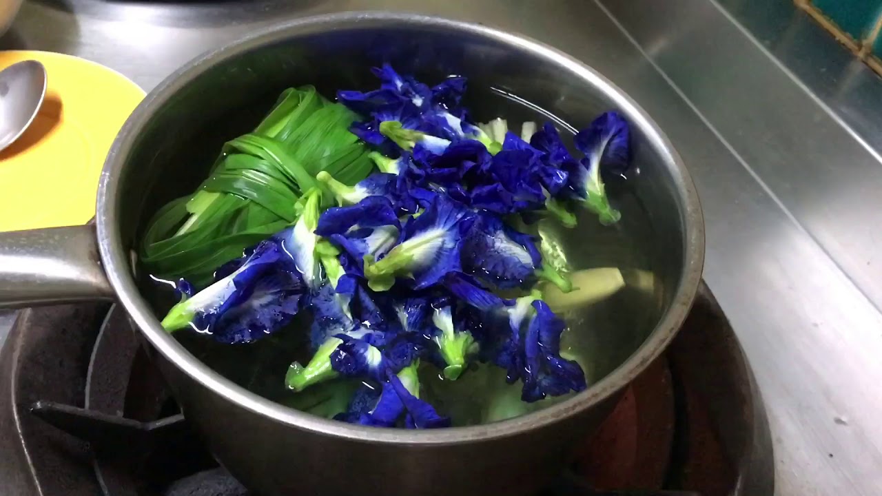 Thai Fusion Cuisine - Drink - Lemon grass and Butterfly Pea Herbal Tea