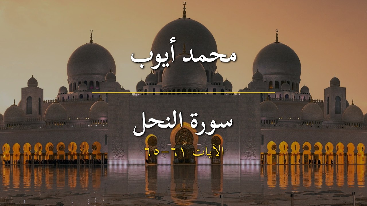 محمد أيوب | سورة النحل | الآيات 61-65 | ولو يؤاخذ الله الناس بظلمهم...
