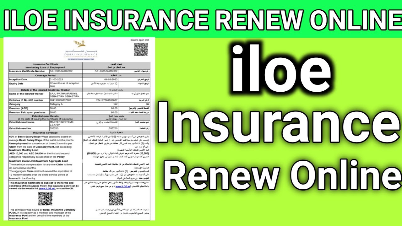 How do I renew my UAE unemployment Insurance 2024 | iloe insurance renew online