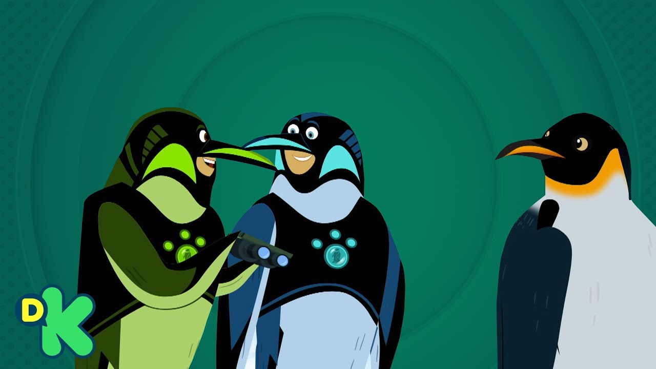¡Súper poder de pingüino! | Aventuras con los Kratt | Discovery Kids