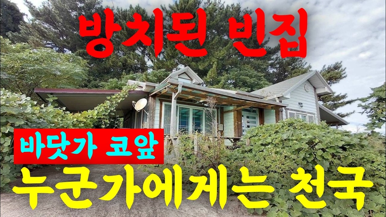 바닷가 코앞 버려진 빈집! 누군가에게는 천국이다! 나혼자 산다~