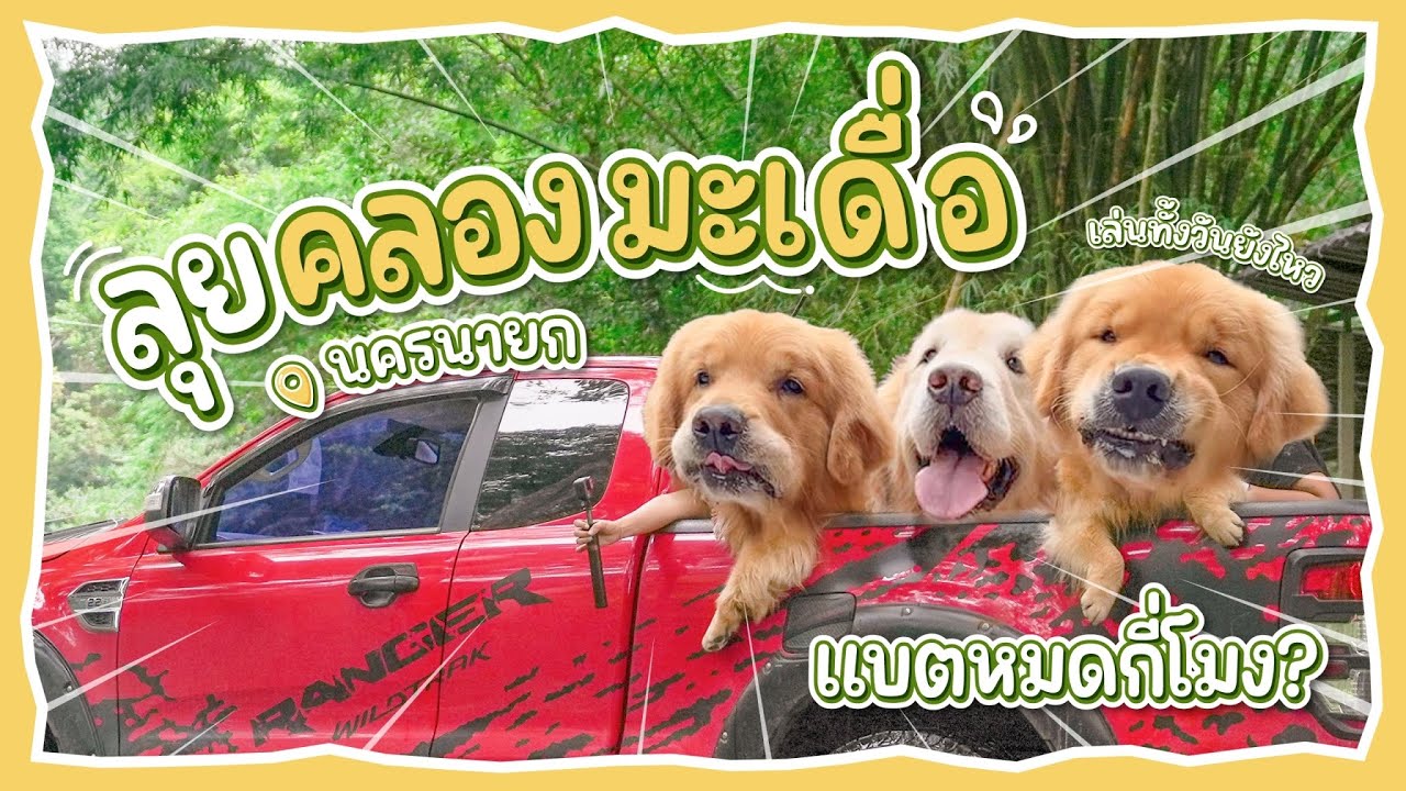 พาหมาเล่นน้ำ อยู่กับธรรมชาติ ที่คลองมะเดื่อ | Japan and Friends