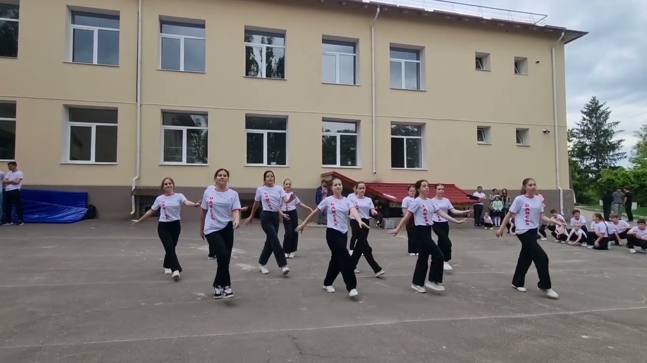 Ansamblul de dansuri 