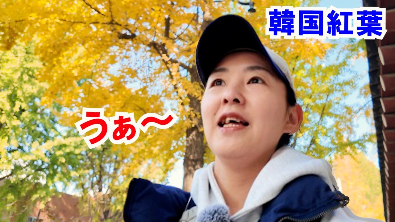 1年で一番綺麗な韓国の紅葉、歩くだけで幸せになれる道