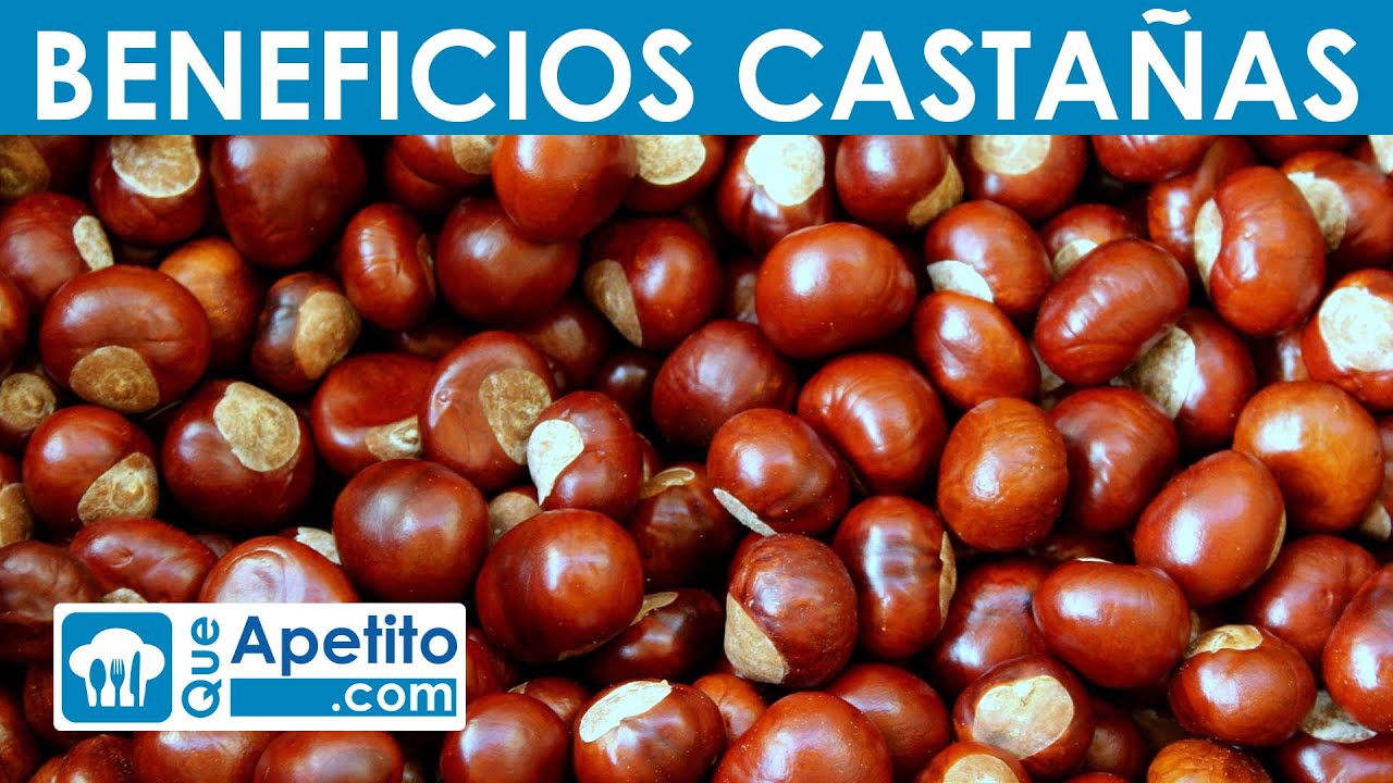 8 Propiedades y Beneficios de las Casta&ntilde;as | QueApetito