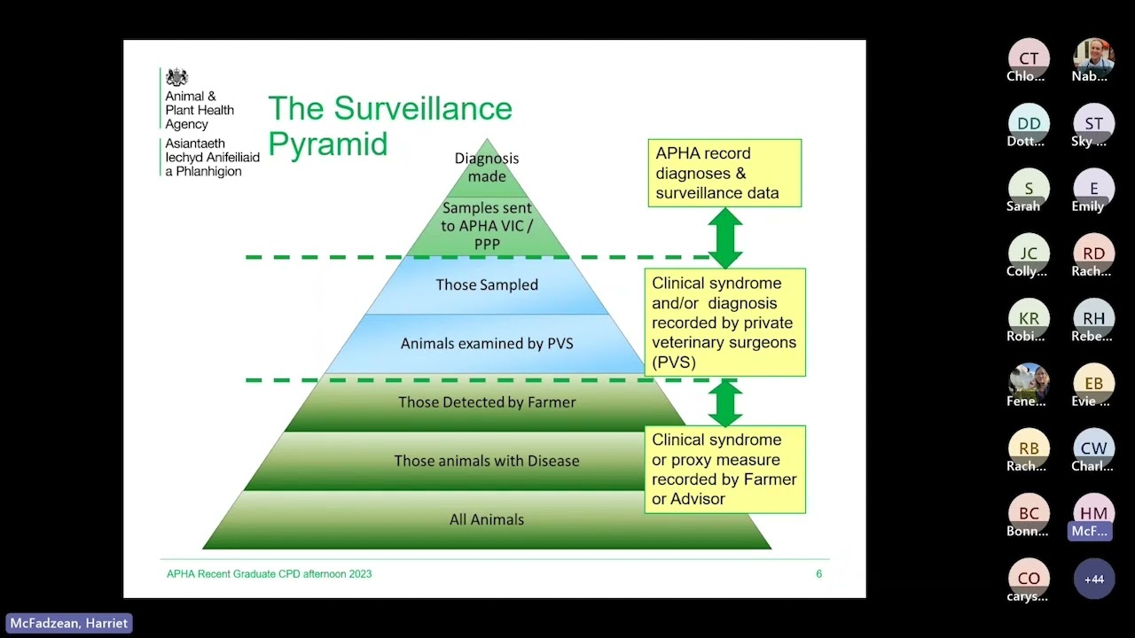 Surveillance and the role of VIC's