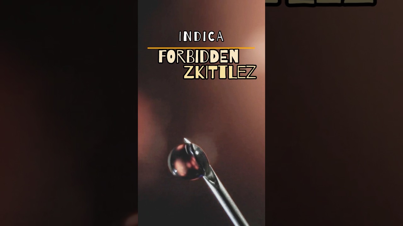 🔥 Forbidden Zkittlez by Muse | Trulieve&rsquo;s Discontinued Line 🍬💨