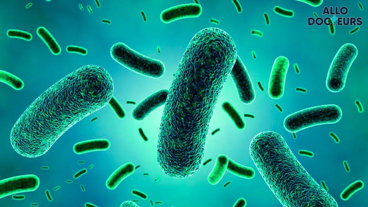L'impact du plastique sur le microbiote