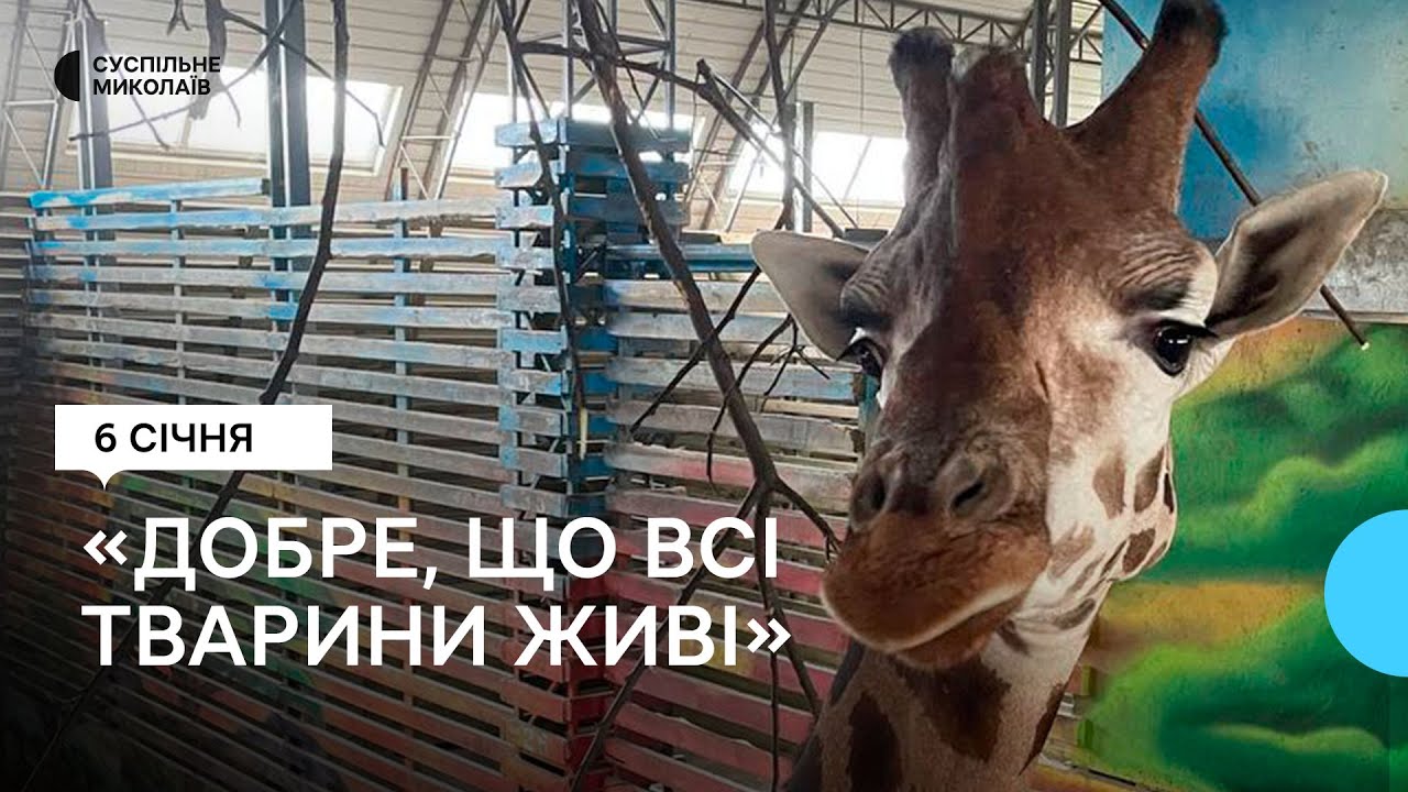 Миколаївський зоопарк продовжує працювати