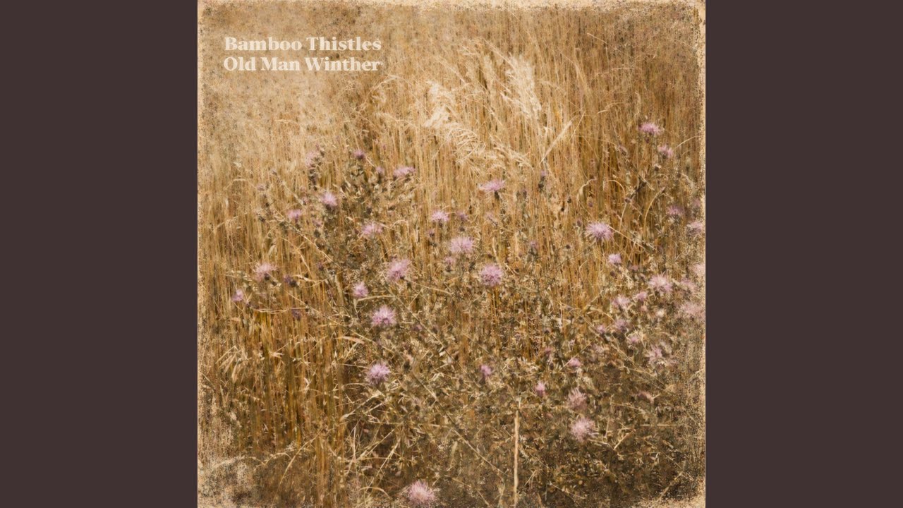 Bamboo Thistles