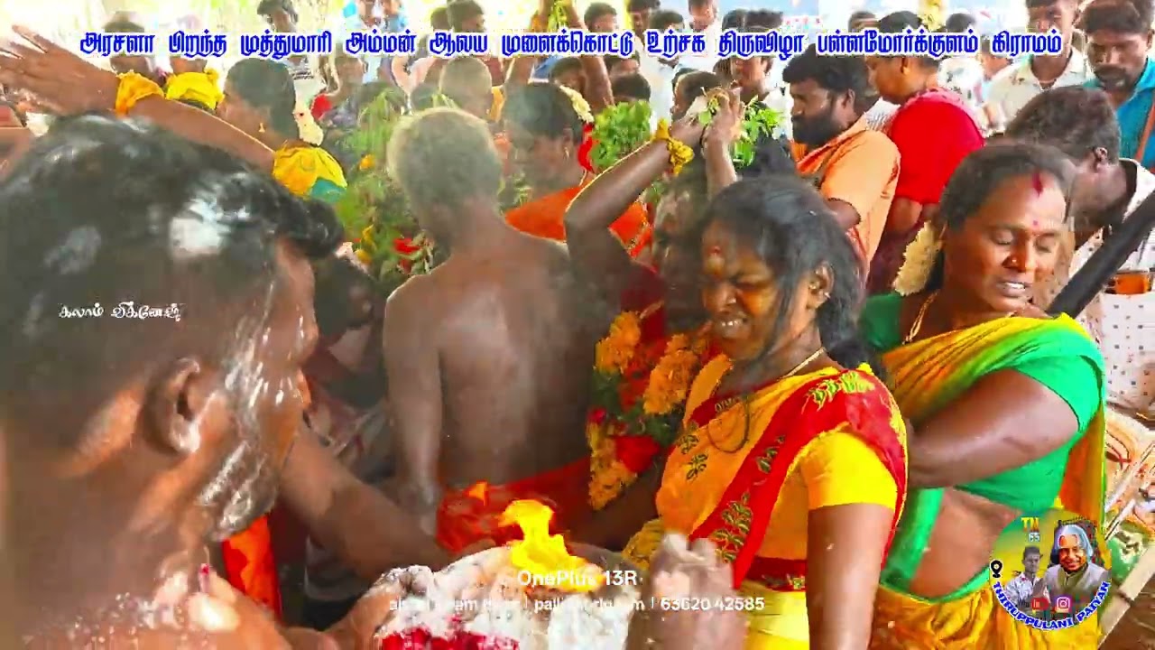 முத்துமாரி அம்மன் ஆலய முளைக்கொட்டு திருவிழா பள்ளமோர்க்குளம் #youtubevideo  #village #festival #video
