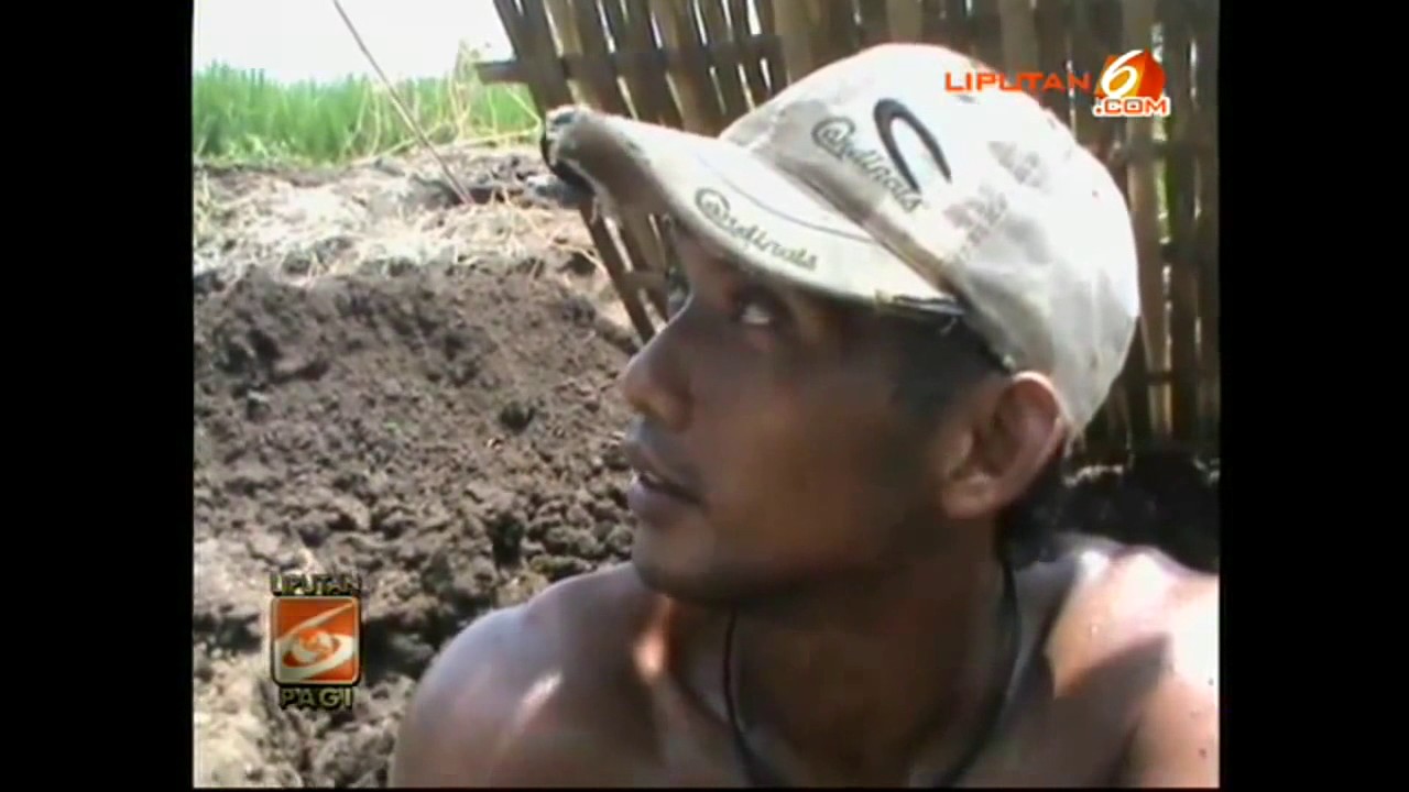 Penemuan Harta Karun Di jawa Timur