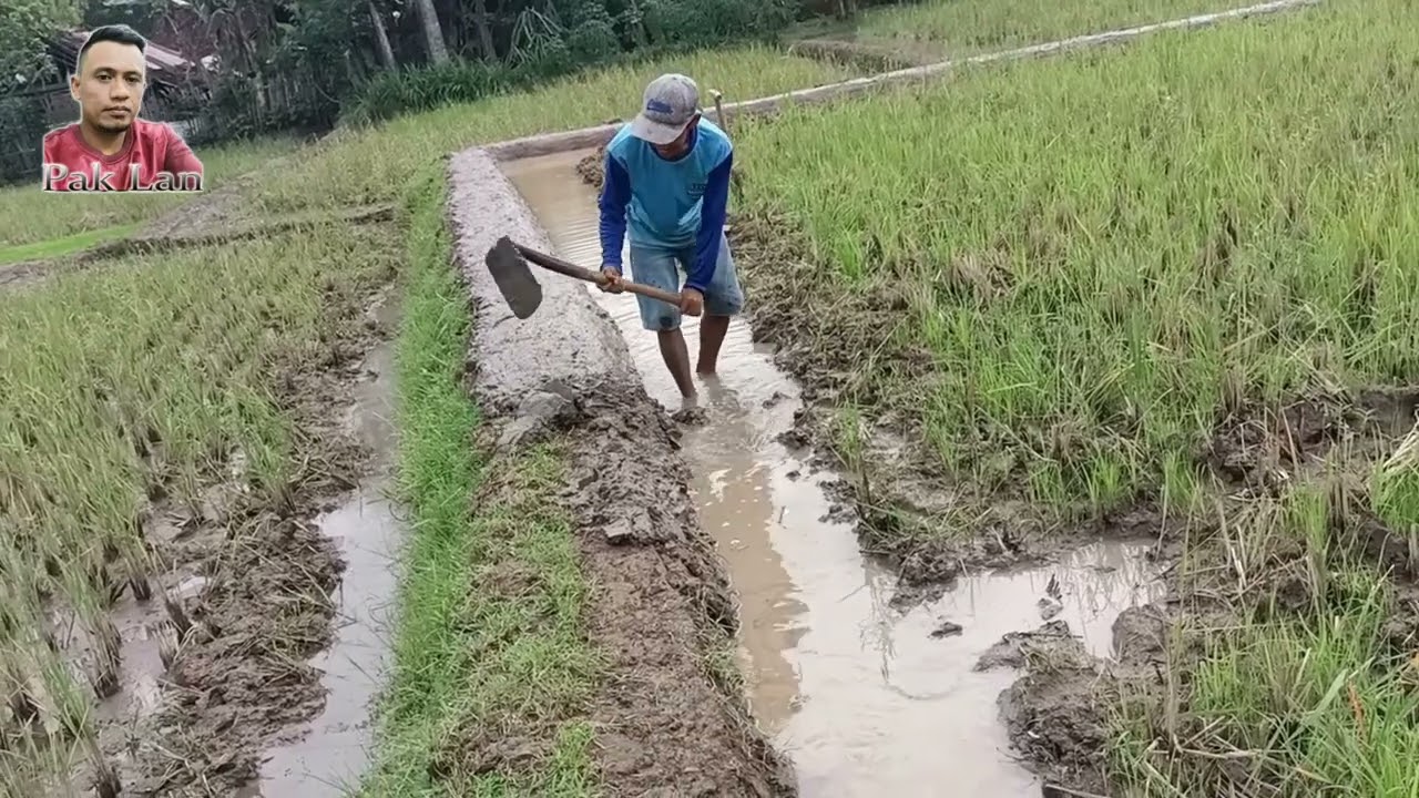 Cara membuat Pematang sawah/galengan/mopok hasil halus