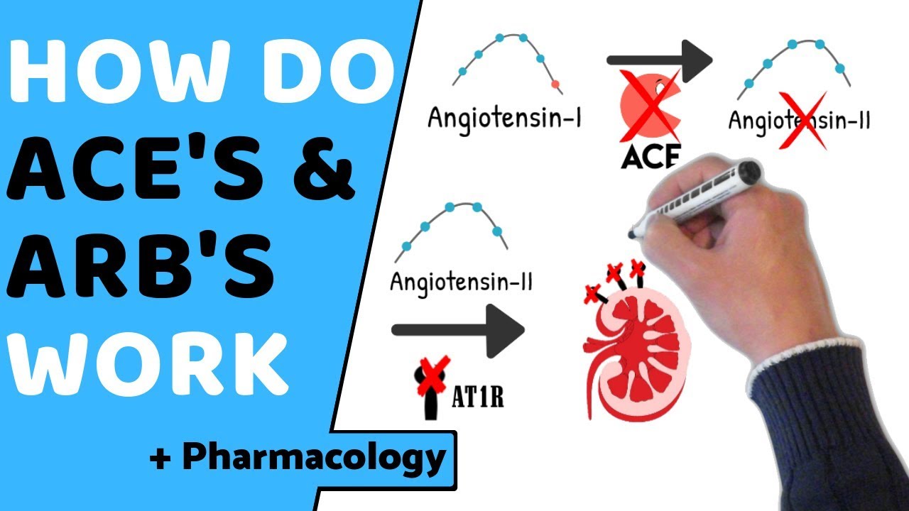 How do ACE & ARB's Work? (+ Pharmacology)