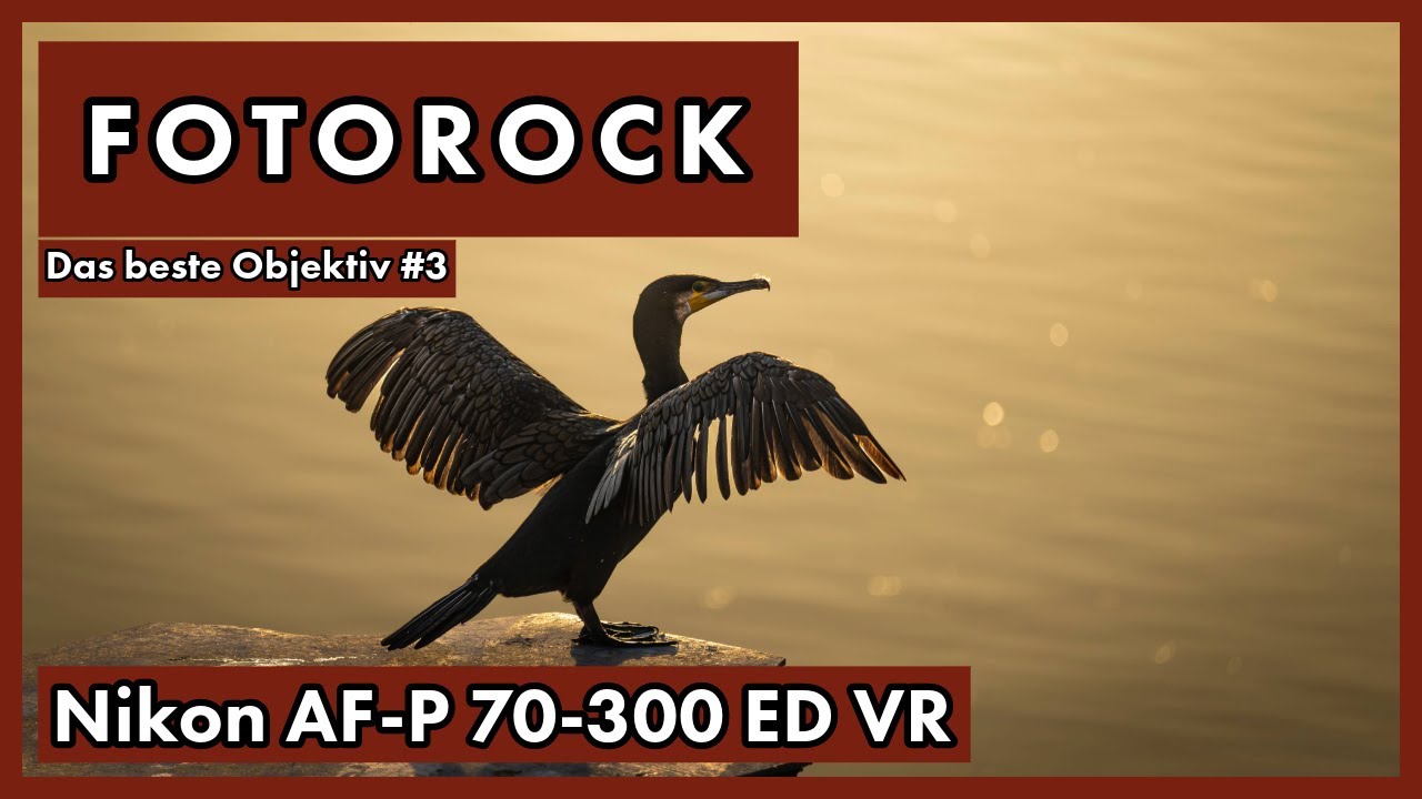 Das beste Objektiv | Teil 3: Nikon AF-P 70-300 ED VR | Wildlife Innenhafen Duisburg | Fotorock #6.3