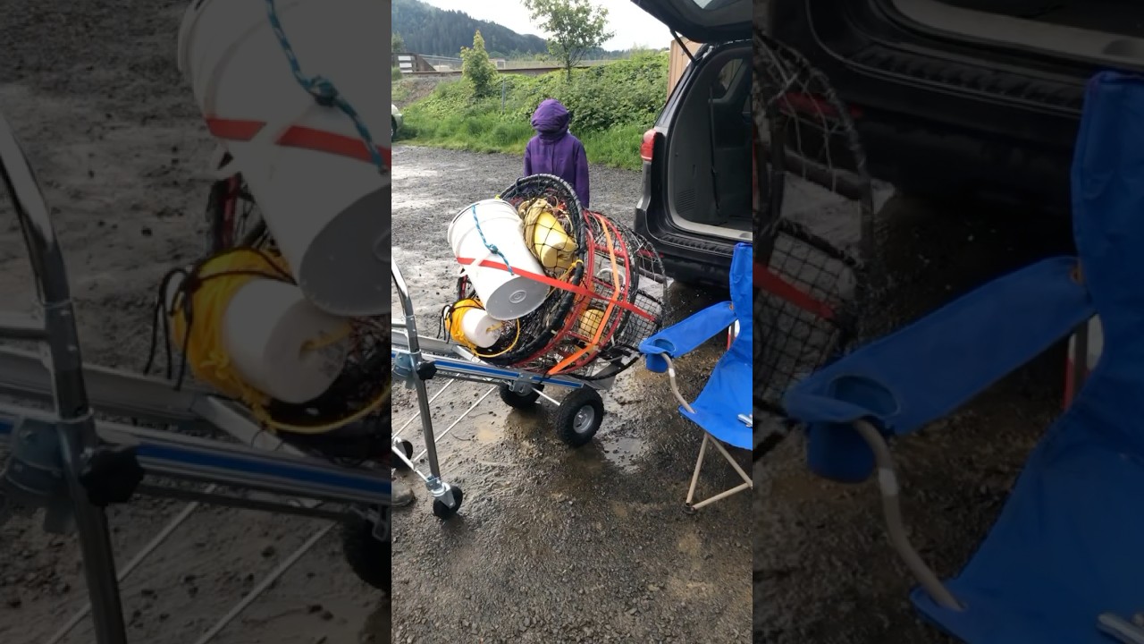 Crabbing in Garibaldi #crabbing #fishing #crab #shellfish #adventure #gear #family #oregon #coast