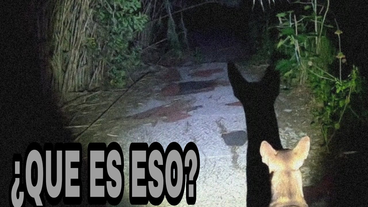 Se Puso Peor Aqui 