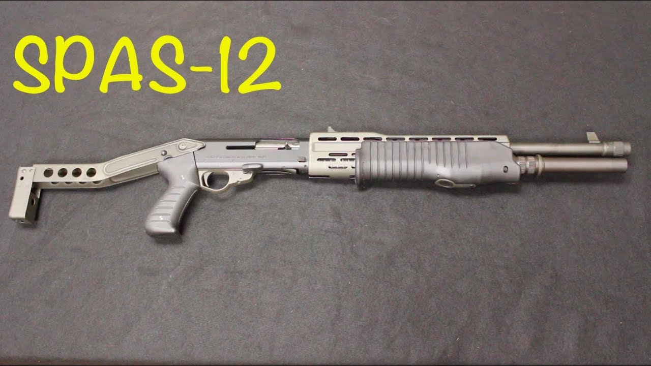 SPAS-12 Overview and History