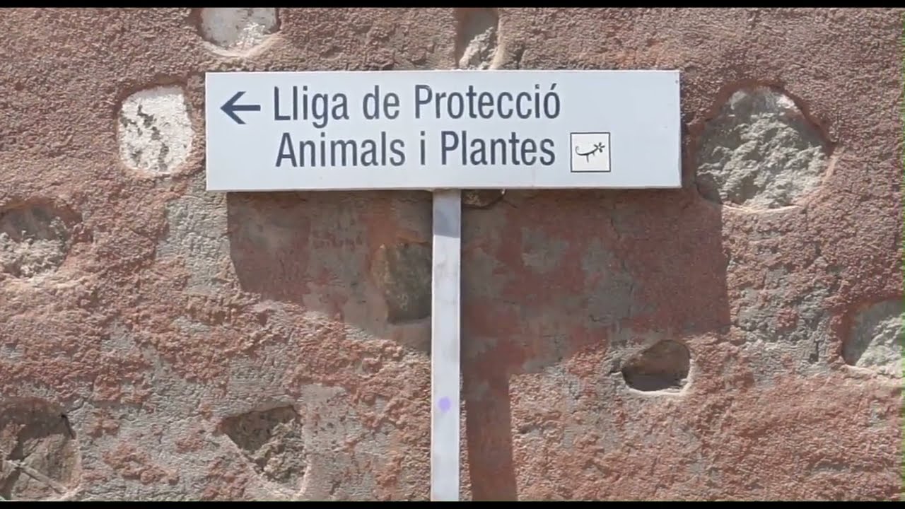 Ens ajudes?