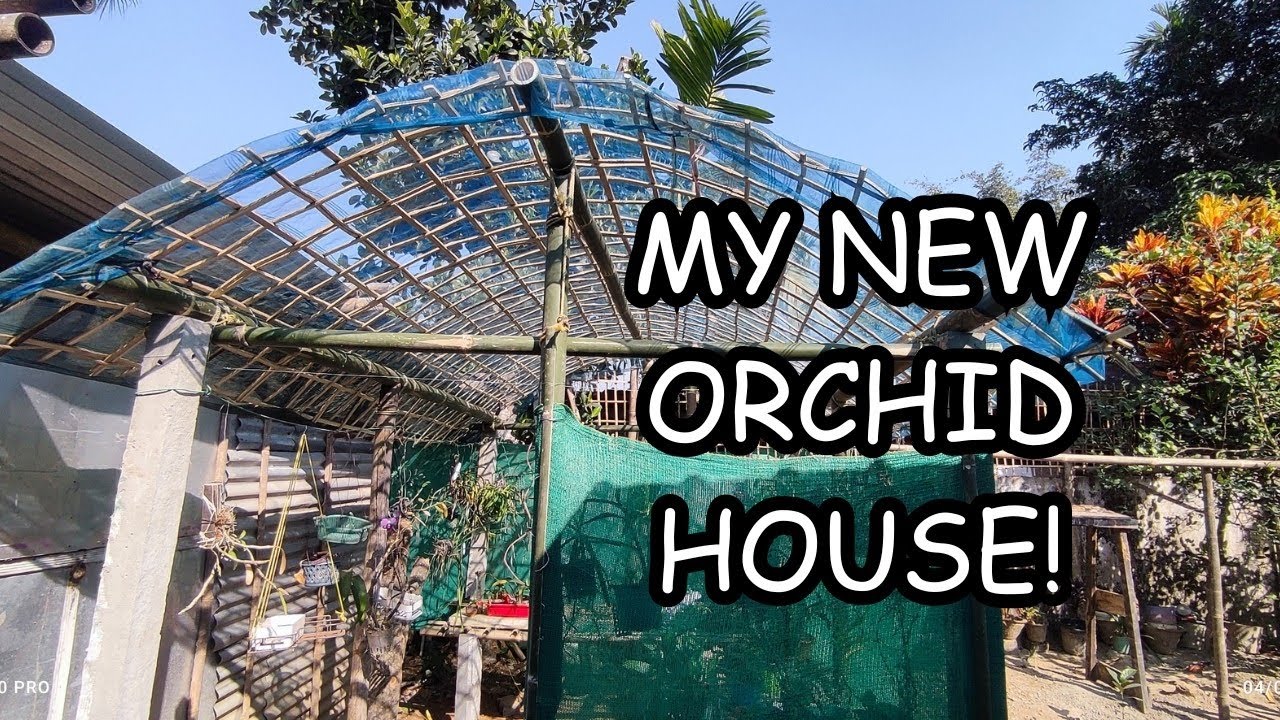 My orchid house got renovated! #orchids #orchidcare