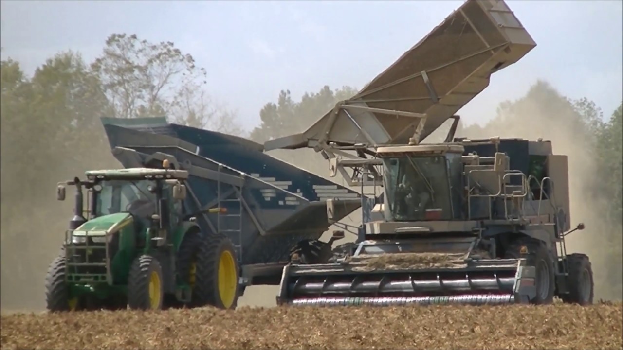 RENTZ FAMILY FARMS 2017 PEANUT HARVEST 1